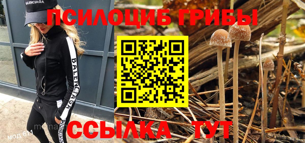 Псилоцибиновые грибы мухоморы Северск
