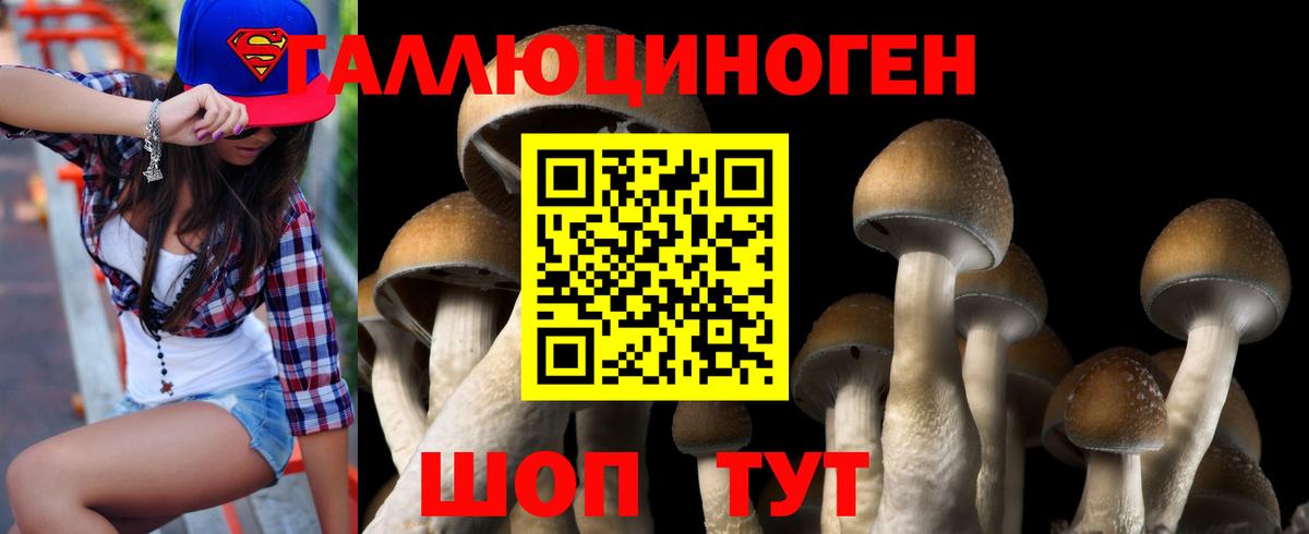 Псилоцибиновые грибы Psilocybine cubensis  Галлюциногенные грибы ЛСД  Северск  Вход с VPN 